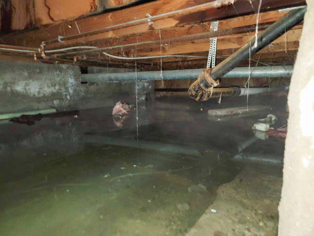 Best Emergency water damage restoration  in Manteno, IL