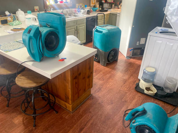 Best Water damage cleanup near me  in Manteno, IL