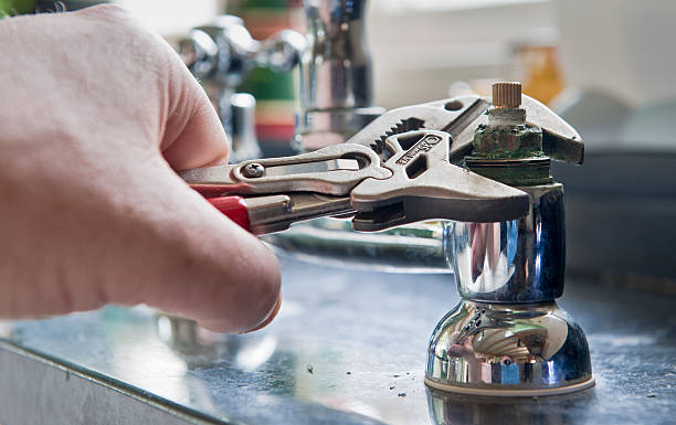 Best 24/7 water damage repair  in Manteno, IL