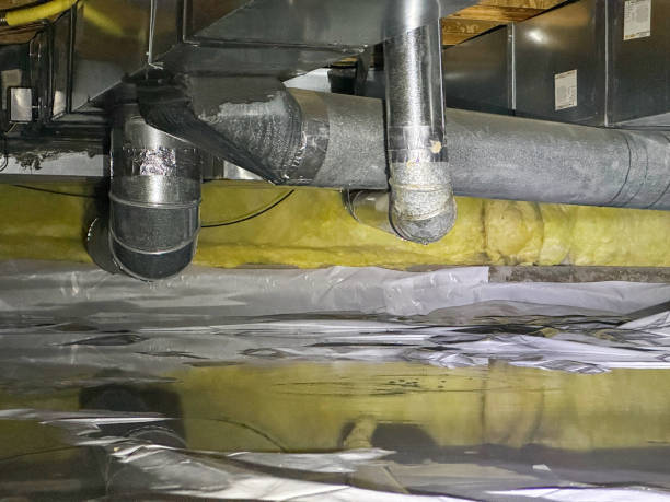 Best Water damage cleanup near me  in Manteno, IL