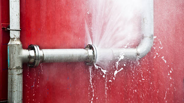 Best Ceiling water damage repair  in Manteno, IL